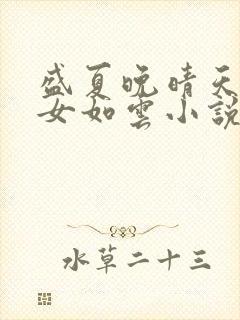 盛夏晚晴天之美女如云小说