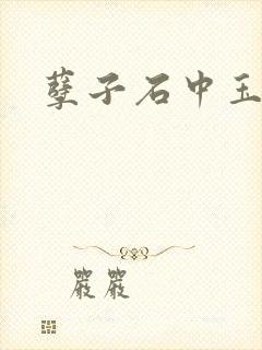 孽子石中玉