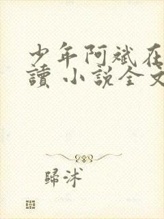 少年阿斌在线阅读 小说全文免费