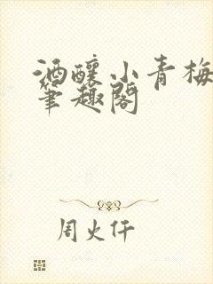 酒酿小青梅po笔趣阁