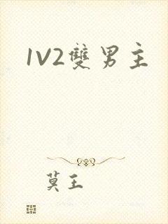 1V2双男主