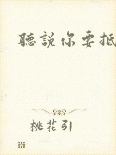 听说你要抵抗我