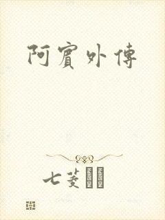 阿宾外传