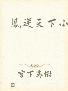 凤逆天下小说