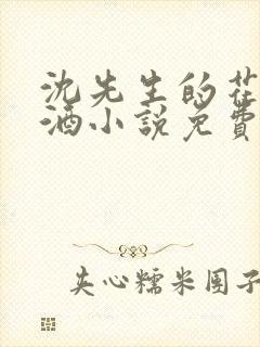 沈先生的花式调酒小说免费阅读