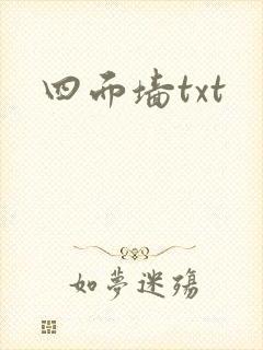 四面墙txt