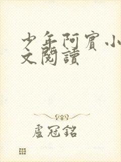 少年阿宾小说全文阅读