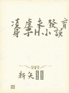 凌虐未发育的小身子H小说
