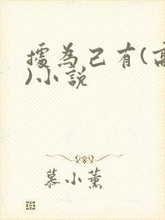 据为己有(高干)小说