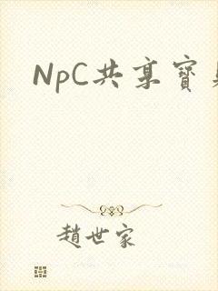 NpC共享宝贝