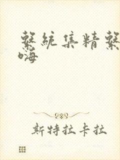 系统集精系统高嗨