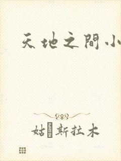 天地之间小说
