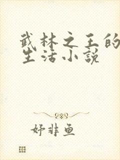 武林之王的退隐生活小说