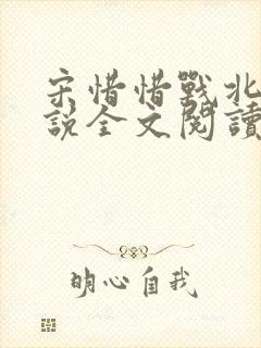 宋惜惜战北望小说全文阅读