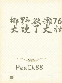 乡野欲潮76章太硬了大壮下载