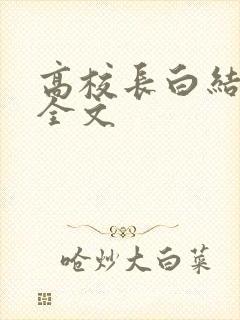 高校长白结小说全文