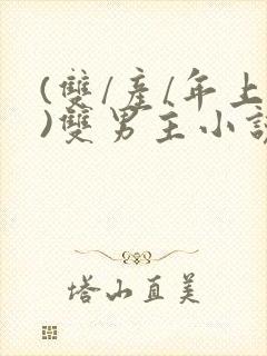 (双/产/年上)双男主小说