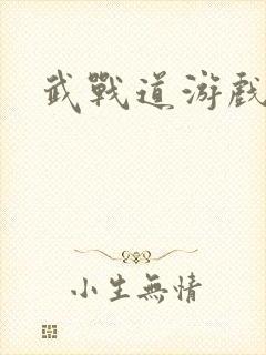 武战道游戏