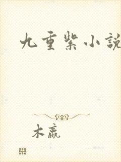 九重紫小说