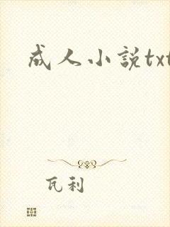 成人小说txt