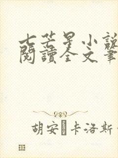 七芒星小说免费阅读全文笔趣阁