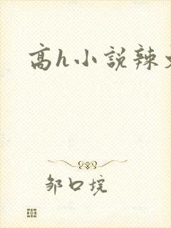 高h小说辣文