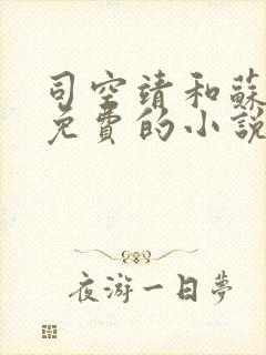 司空靖和苏月汐免费的小说笔趣阁