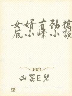 女婿有劲枪枪到底小峰小说