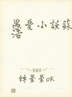 愚爱小说苏倩孙浩