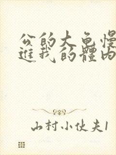 公的大龟慢慢挺进我的体内视频