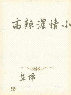高辣浓情小说