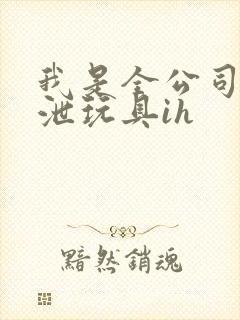 我是全公司的发泄玩具ih