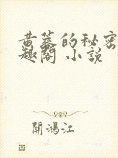 黄蓉的秘密 笔趣阁 小说