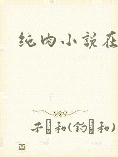 纯肉小说在线