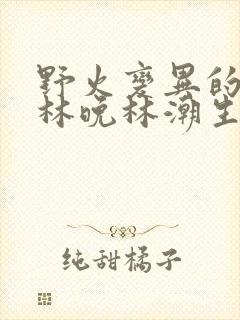 野火变异的父爱林晚林潮生