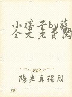 小瞎子by苏软全文免费阅读