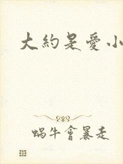 大约是爱小说
