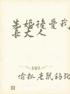 先婚后爱我的市长大人