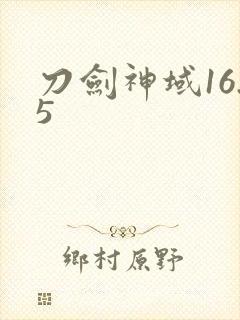 刀剑神域16.5