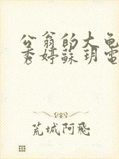 公翁的大龟挺进秀婷苏玥电影