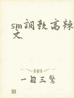 sm调教高辣h文