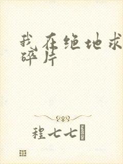 我在绝地求生捡碎片