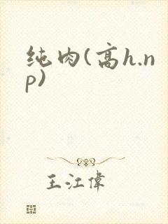 纯肉(高h.np)