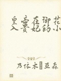 皇帝在御花园进入贵妃的小说