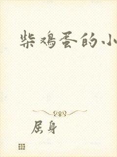 柴鸡蛋的小说