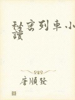 秘密列车小说阅读