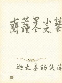 七芒星小说免费阅读全文笔趣阁