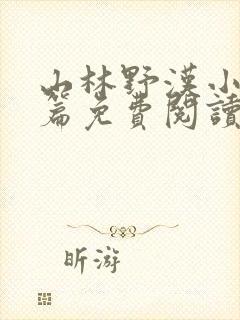 山林野汉小说全篇免费阅读