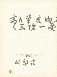 高h荤爽肉欲文〈三攻一受