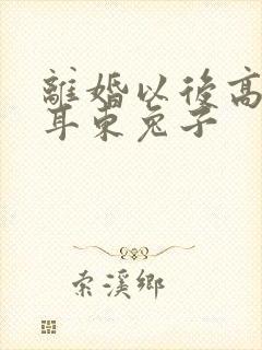 离婚以后高干 耳东兔子